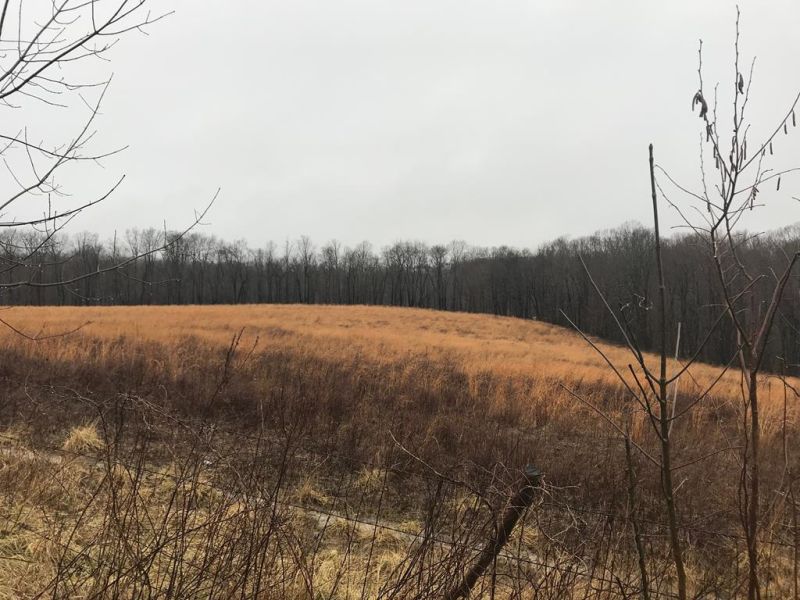 Johnson Hill Road Waverly OH 45690 Land