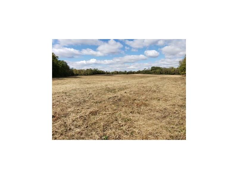 551 Jamison Road Frankfort OH 45628 Farm