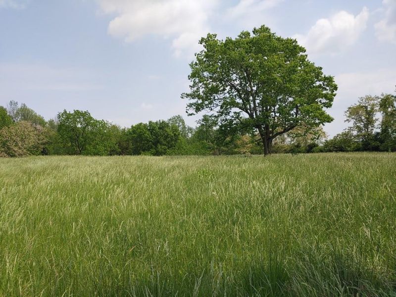 Westfall Road Frankfort OH 45628 Land