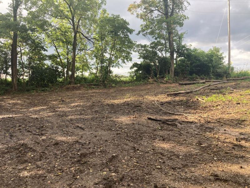 Hurless Road Frankfort OH 45628 Land