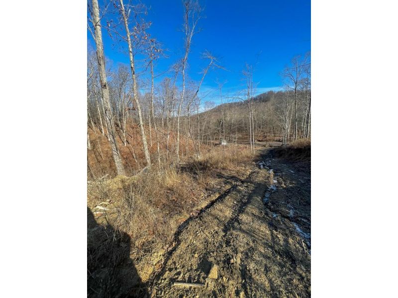 3427 McNamer Brown Lucasville OH 45648 Land