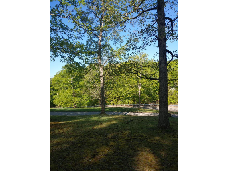 Forest Hills Blvd. Waverly OH 45690 Land