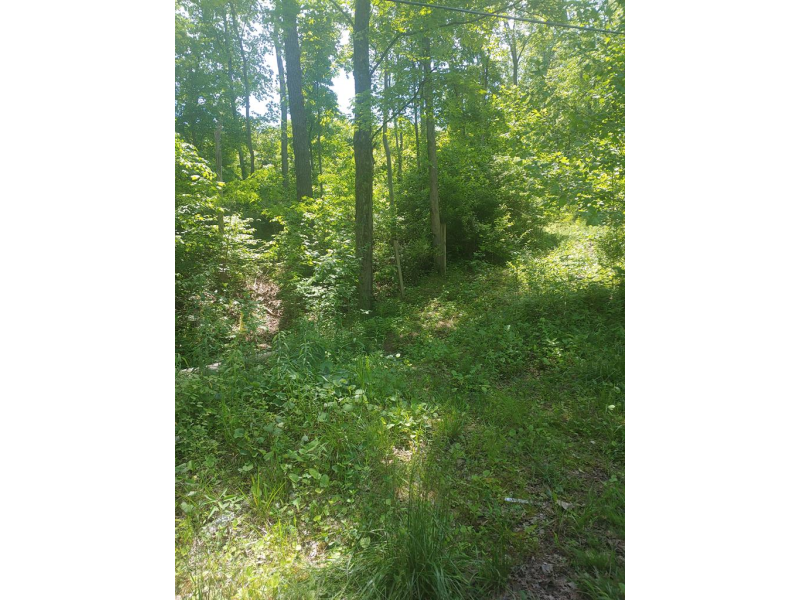 McCorkle Rockwell Rd. Lucasville OH 45648 Land