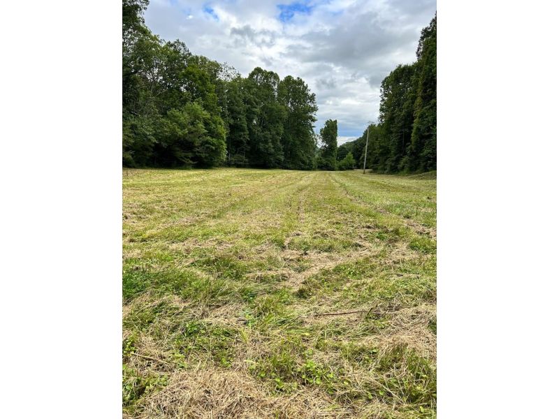 31557 French Road Londonderry OH 45647 Residential