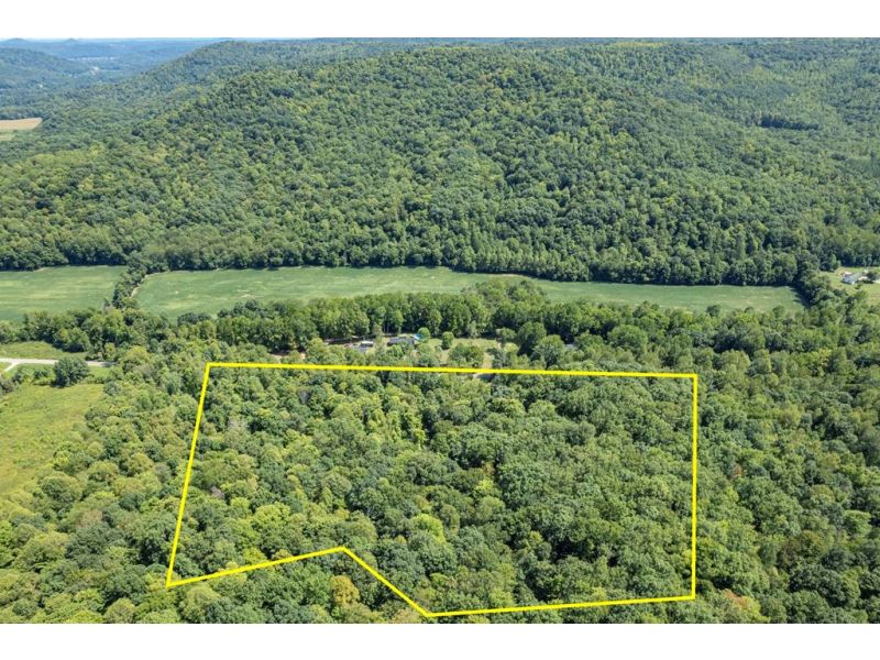 4655 Grassy Fork Road Peebles OH 45660 Land - Main Photo