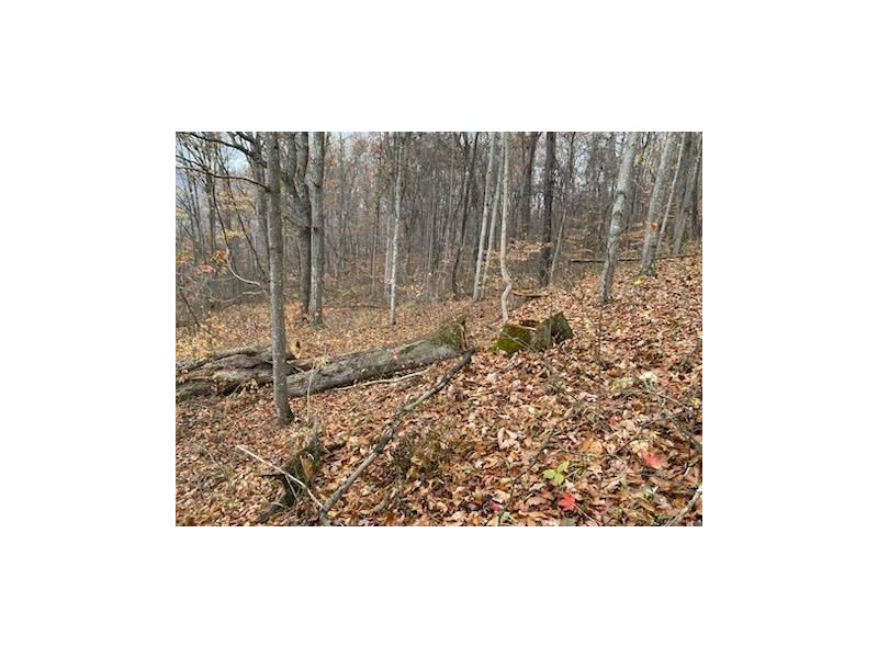 571 Co. Rd. 52 Ironton OH 45638 Land - Main Photo