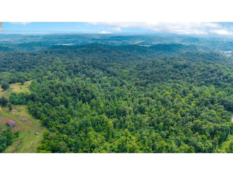 Brumfield Road Crown City OH 45623 Land - Main Photo