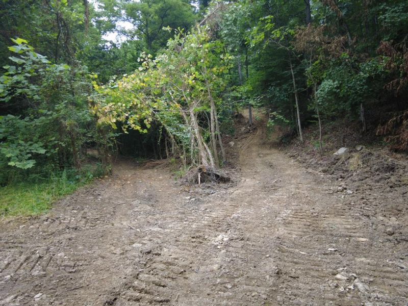 94 ac Nace Run Road Stout OH 45684 Land - Main Photo