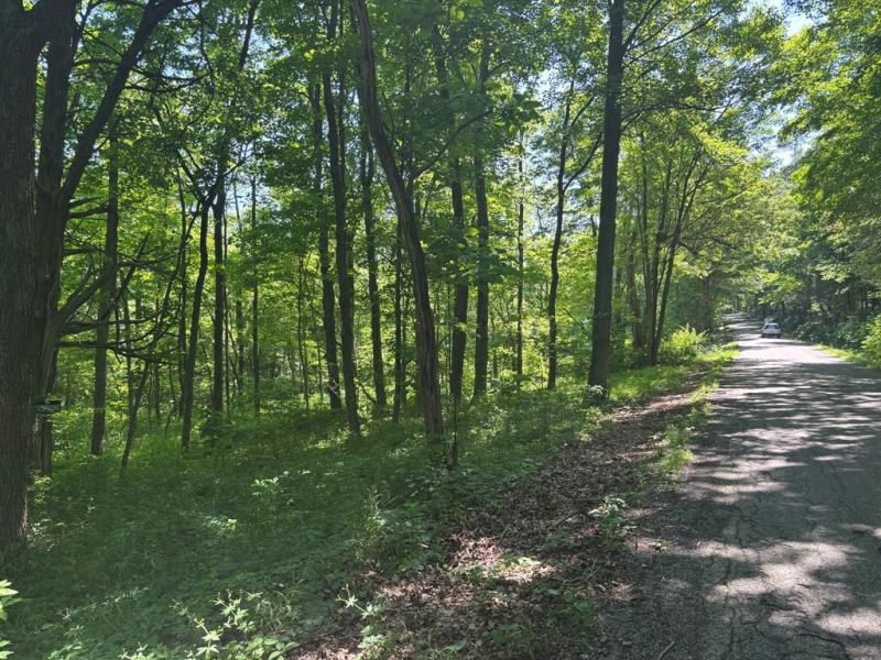 Nace Corner Rd Latham OH 45646 Land - Main Photo