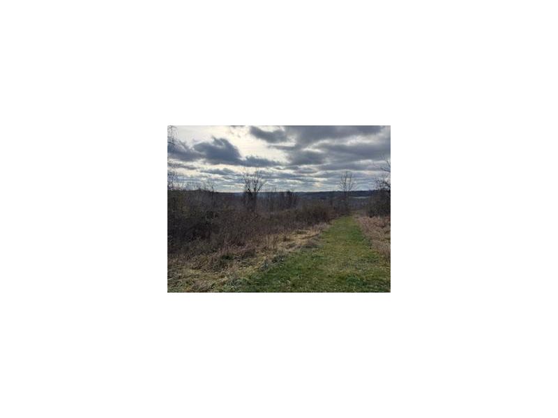 15750 Bryson Rd Millfield OH 45761 Land - Main Photo