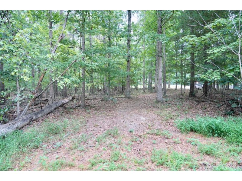 Prussia Road Waverly OH 45690 Land - Main Photo