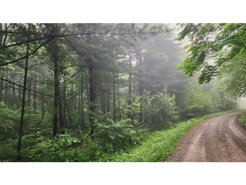 Walnut Grove Road McArthur OH 45651 Land - Main Photo