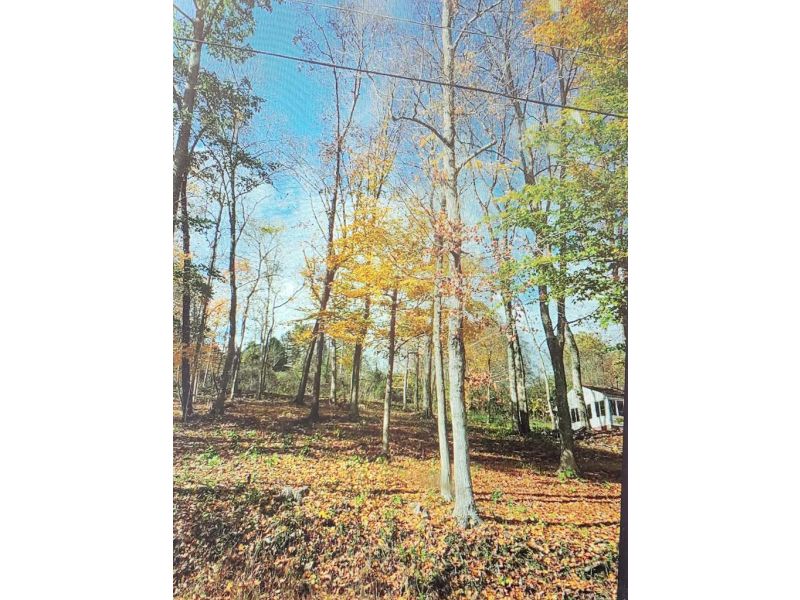 303 Wells Jones Road Waverly OH 45690 Land - Main Photo