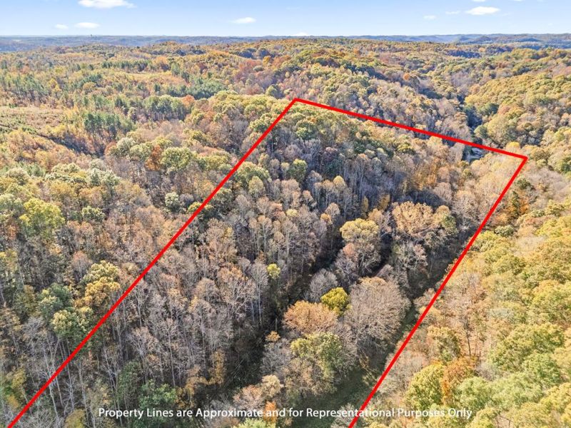 56400 Doles Rd. Ray OH 45672 Land - Main Photo