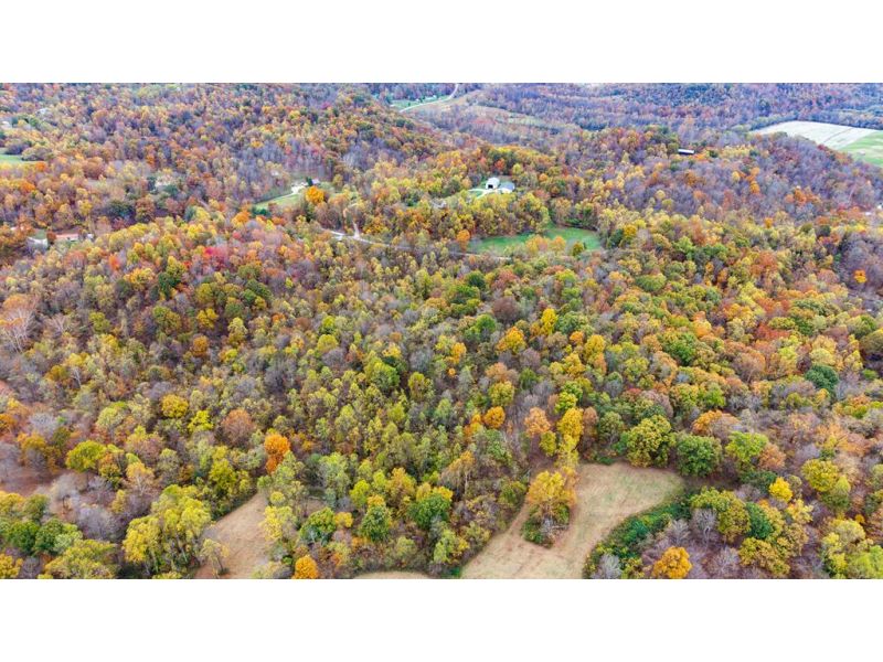 1390 Orchard Hill Road Gallipolis OH 45631 Land - Main Photo