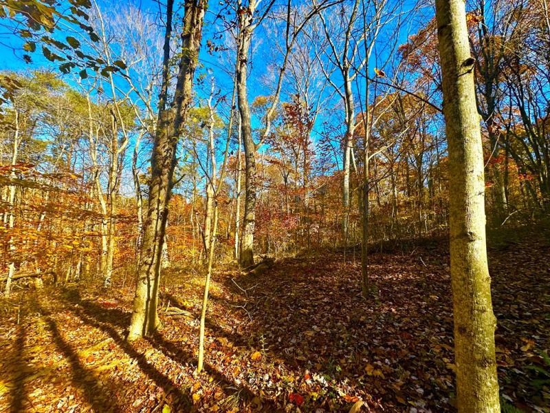 Denver Road Waverly OH 45690 Land - Main Photo