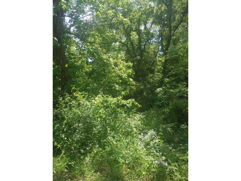 1337 St Rt 140 Oak Hill OH 45656 Land - Photo 3